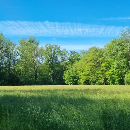 Erbachstrasse Waiblingen (Stuttgart)