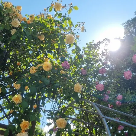 Apartamento Erbachstrasse